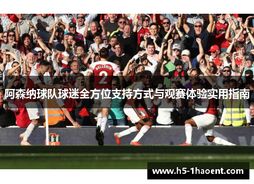 阿森纳球队球迷全方位支持方式与观赛体验实用指南 阿森纳球队球迷全方位支持方式与观赛体验实用指南
