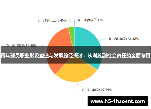 青年球员职业形象塑造与发展路径探讨：从训练到社会责任的全面考量